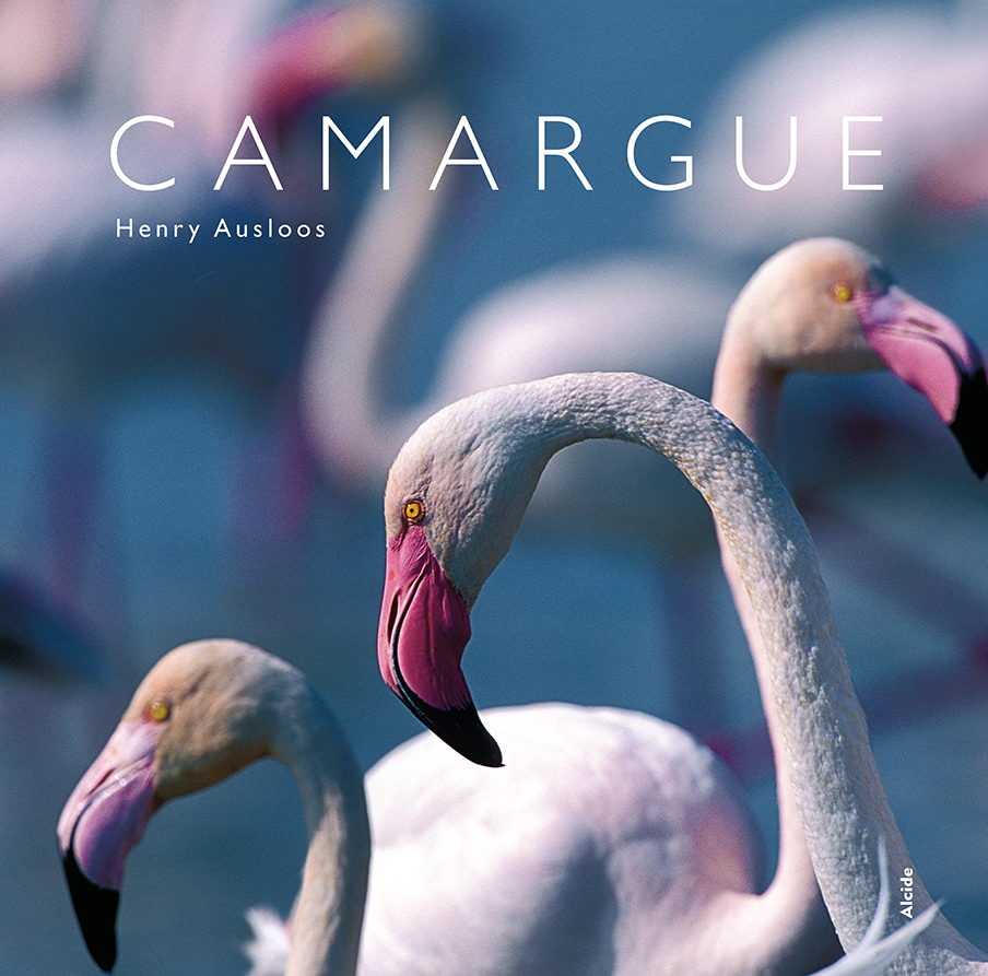 Camargue